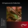 Capriccio voor genoeg vioolsnaren