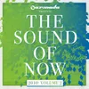 The Sound Of Now 2010, Vol. 2 Full Continuous Mix, Pt. 1