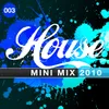 House Mini Mix 003 - 2010 Continuous Mix