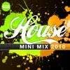 House Mini Mix 2010 - 005 Continuous Mix