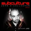 Surrender Sneijder vs John O'Callaghan Radio Edit