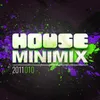 House Mini Mix 2011 - 010 Full Continuous Mix