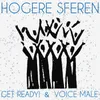 About Hogere Sferen Song