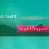 Nightingale Original Airplay Mix