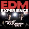 EDM Experience 002 Full Continuous DJ Mix