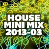 House Mini Mix 2013-03 Full Continuous Mix