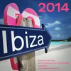 One Night In Ibiza Radio Mix