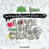 About Love Me Crazy Song