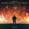 About Never Gonna Step Down Song