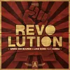 About Revolution Song