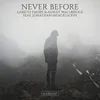 About Never Before Song