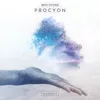 About Procyon Song