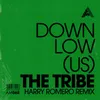 The Tribe (Harry Romero Remix) Extended Mix