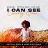 I Can See Clearly Now Crystal Rock &amp; Marc Kiss Remix Extended