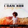 About I Can See Clearly Now Embody Remix Song