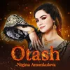 About OTASH Song