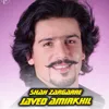 Shah Zargare 1