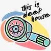 Indie Night Deep Secret Mix