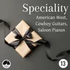 About Cowboy Gunshop Song