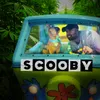 About Scooby Song