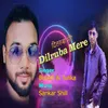 About Dilruba Mere Song