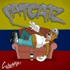About Fat Catz Song