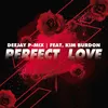 About Perfect Love Song