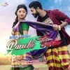 About Panchi Saree Song