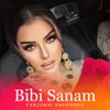 Bibi Sanam