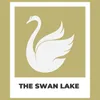 Act 2 - Dances of the Swan