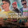 About Vamonos de Copas Song
