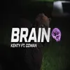 About Brain Song