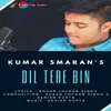 About Dil Tere Bin.wav Song
