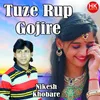 About Tuz Rup Gojire Pahun Sakhaye Song