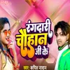 About Rangdari Chauhan je ke Song