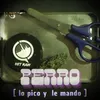 Perro lo pico y lee mando