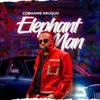 About Elephant Man Song