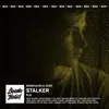 About Stalker Song