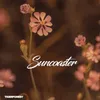 About Suncoaster Song