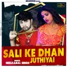 About Saali Ke Dhan Jhuthiyai Song