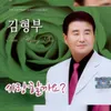 My Love Korean Ginseng (instrumental)