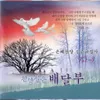 About 죄송해요 Song