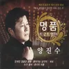 About 안개낀 장충단 공원 Song