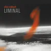 Liminal Glow (feat. Todd Boston)