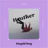 About Stupid boy Song