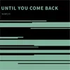 Until You Come Back