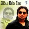 About Dildar Hain Hum Song