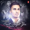 About Can't Forget You (Tujhe Bhula Diya) Song