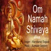 About Om Namah Shivaya Dhun Song