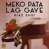 About Meko Pata Lag Gaye Song